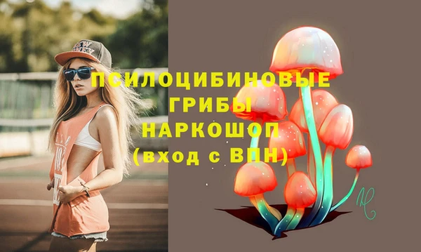 a pvp Володарск